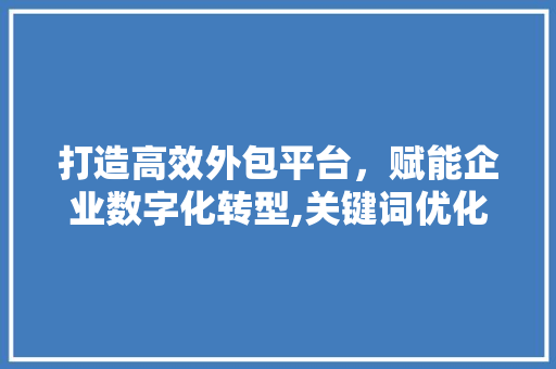 打造高效外包平台，赋能企业数字化转型,关键词优化步骤探析