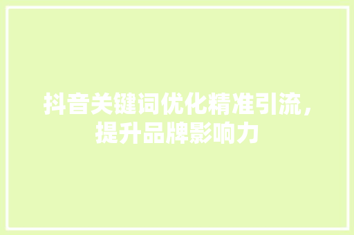 抖音关键词优化精准引流，提升品牌影响力