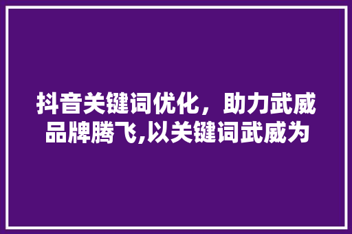 抖音关键词优化，助力武威品牌腾飞,以关键词武威为核心，讨论优化步骤及成效