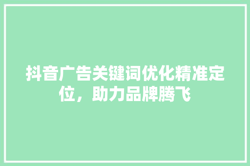 抖音广告关键词优化精准定位，助力品牌腾飞