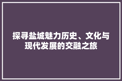 探寻盐城魅力历史、文化与现代发展的交融之旅