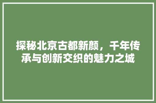 探秘北京古都新颜，千年传承与创新交织的魅力之城 360搜优化