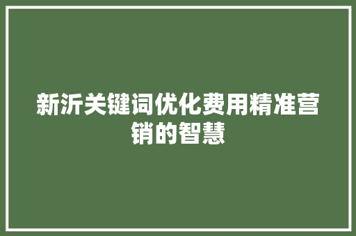 新沂关键词优化费用精准营销的智慧 小程序开发
