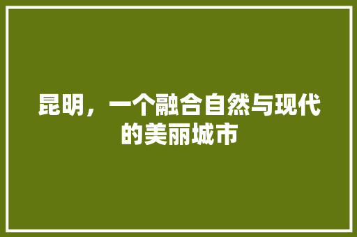 昆明，一个融合自然与现代的美丽城市