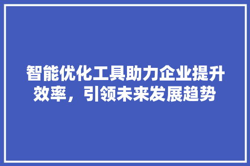 智能优化工具助力企业提升效率，引领未来发展趋势