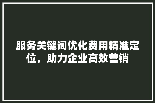 服务关键词优化费用精准定位，助力企业高效营销