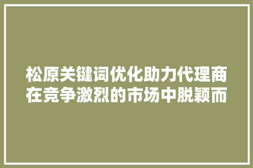 松原关键词优化助力代理商在竞争激烈的市场中脱颖而出