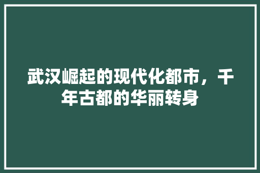 武汉崛起的现代化都市，千年古都的华丽转身 网站开发