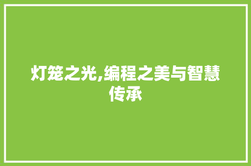 灯笼之光,编程之美与智慧传承 灯笼之光,编程之美与智慧传承 搜狗优化