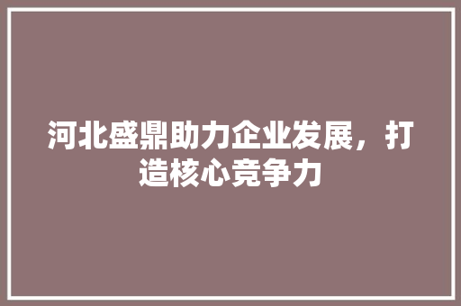 河北盛鼎助力企业发展，打造核心竞争力