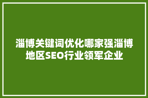 淄博关键词优化哪家强淄博地区SEO行业领军企业