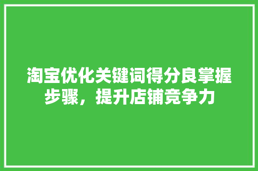 淘宝优化关键词得分良掌握步骤，提升店铺竞争力