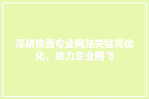 深耕陕西专业网站关键词优化，助力企业腾飞