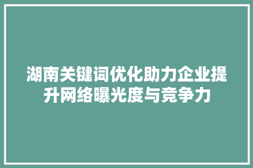 湖南关键词优化助力企业提升网络曝光度与竞争力