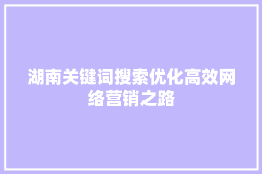 湖南关键词搜索优化高效网络营销之路