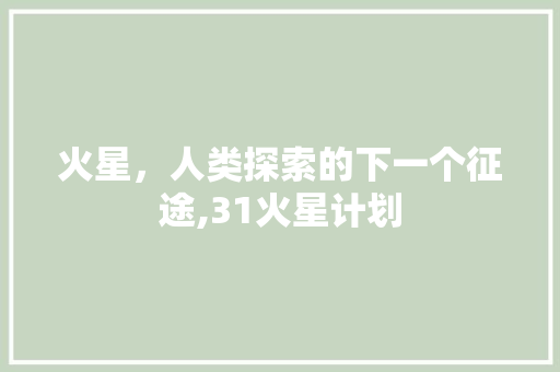火星，人类探索的下一个征途,31火星计划