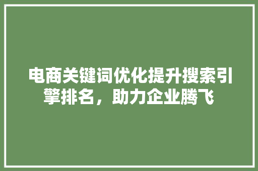 电商关键词优化提升搜索引擎排名，助力企业腾飞