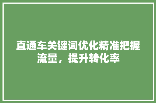 直通车关键词优化精准把握流量，提升转化率