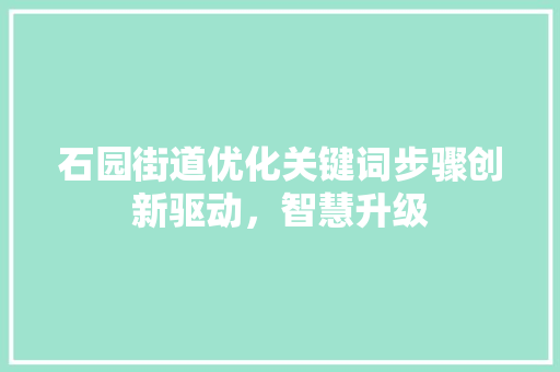 石园街道优化关键词步骤创新驱动，智慧升级