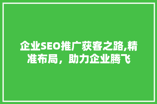 企业SEO推广获客之路,精准布局，助力企业腾飞 360搜优化