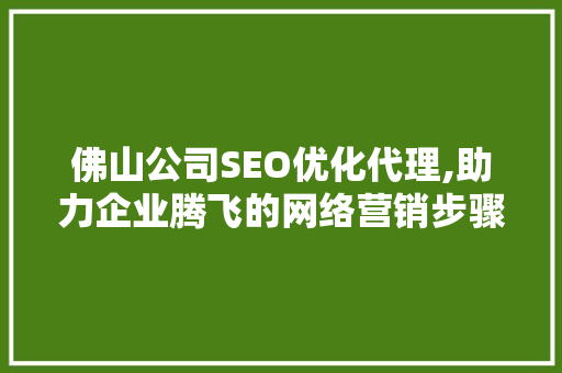 佛山公司SEO优化代理,助力企业腾飞的网络营销步骤 360搜优化