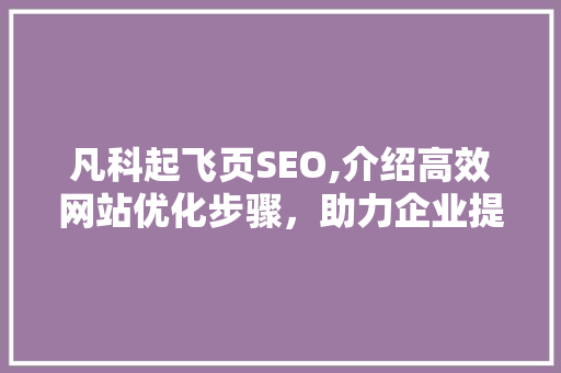 凡科起飞页SEO,介绍高效网站优化步骤，助力企业提升在线竞争力 seo技术