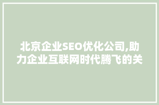 北京企业SEO优化公司,助力企业互联网时代腾飞的关键步骤 seo技术