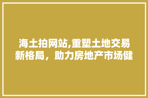 海土拍网站,重塑土地交易新格局，助力房地产市场健康发展