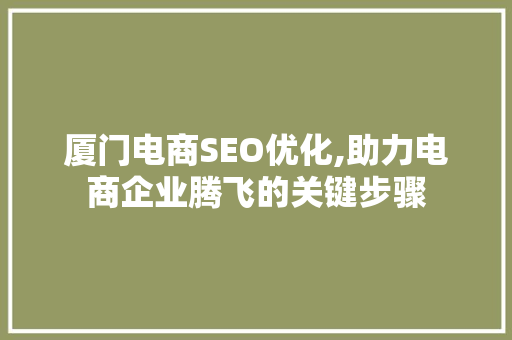 厦门电商SEO优化,助力电商企业腾飞的关键步骤 网站开发