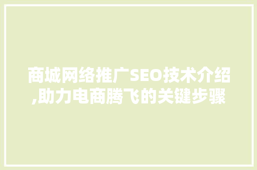 商城网络推广SEO技术介绍,助力电商腾飞的关键步骤 360搜优化