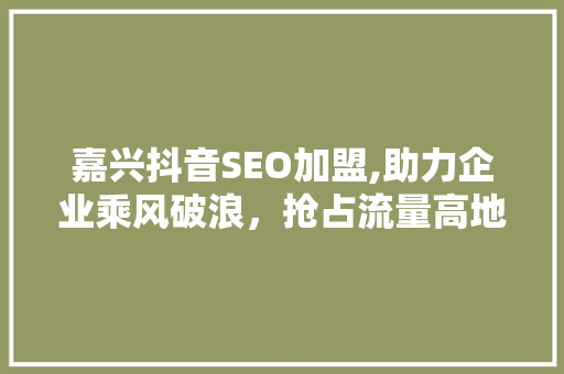 嘉兴抖音SEO加盟,助力企业乘风破浪，抢占流量高地