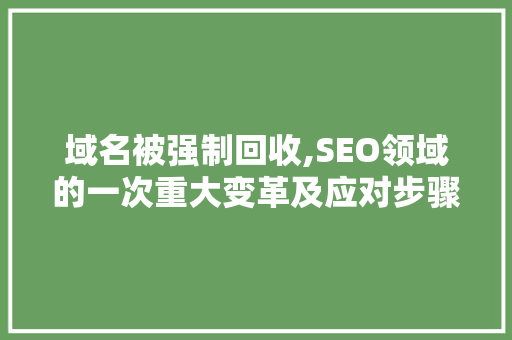 域名被强制回收,SEO领域的一次重大变革及应对步骤
