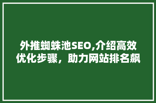 外推蜘蛛池SEO,介绍高效优化步骤，助力网站排名飙升