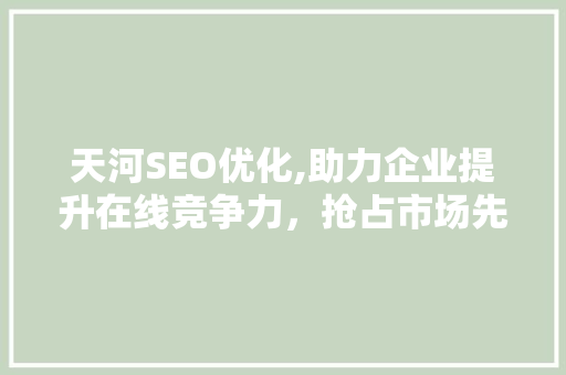 天河SEO优化,助力企业提升在线竞争力，抢占市场先机