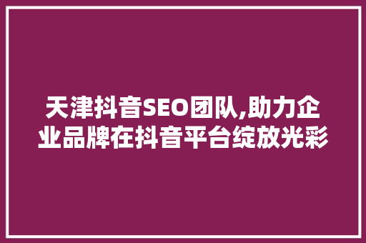 天津抖音SEO团队,助力企业品牌在抖音平台绽放光彩