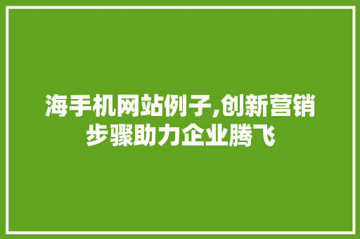 海手机网站例子,创新营销步骤助力企业腾飞 海手机网站例子,创新营销步骤助力企业腾飞 360搜优化