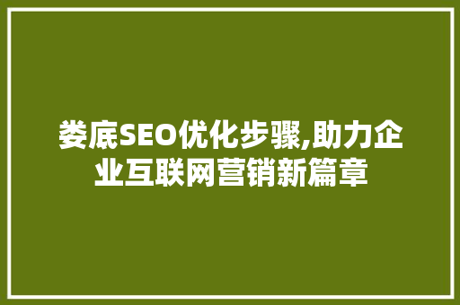 娄底SEO优化步骤,助力企业互联网营销新篇章 360搜优化