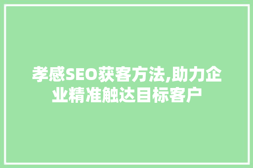 孝感SEO获客方法,助力企业精准触达目标客户