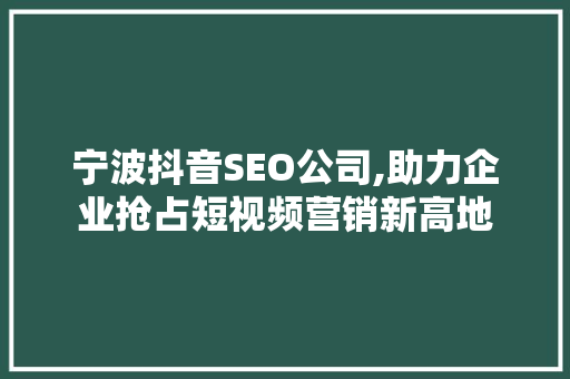 宁波抖音SEO公司,助力企业抢占短视频营销新高地