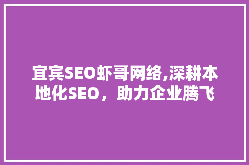 宜宾SEO虾哥网络,深耕本地化SEO，助力企业腾飞