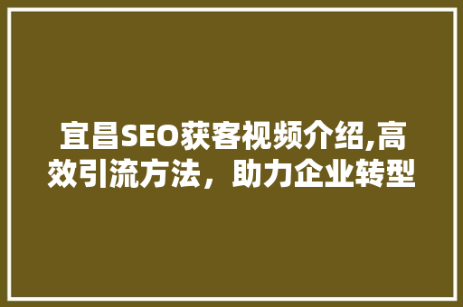 宜昌SEO获客视频介绍,高效引流方法，助力企业转型升级