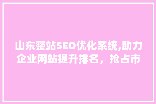 山东整站SEO优化系统,助力企业网站提升排名，抢占市场先机