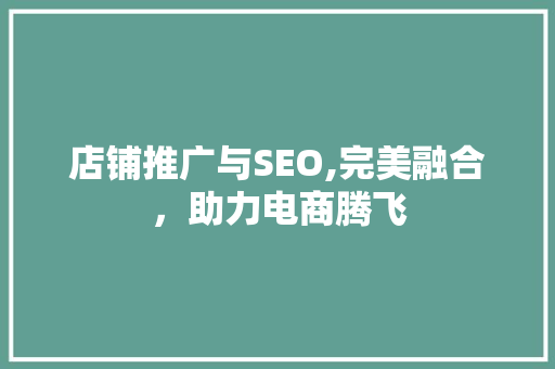 店铺推广与SEO,完美融合，助力电商腾飞