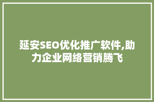 延安SEO优化推广软件,助力企业网络营销腾飞