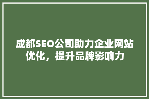 成都SEO公司助力企业网站优化，提升品牌影响力