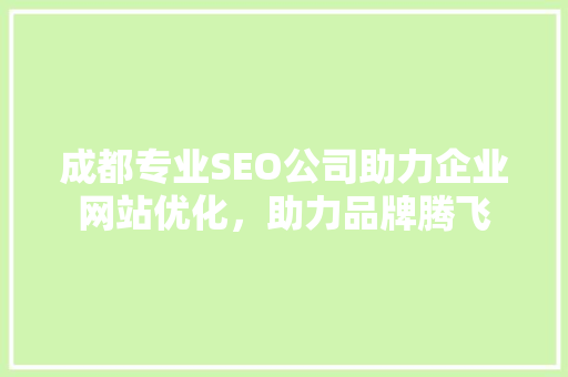 成都专业SEO公司助力企业网站优化，助力品牌腾飞 网站开发