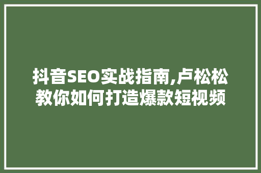 抖音SEO实战指南,卢松松教你如何打造爆款短视频
