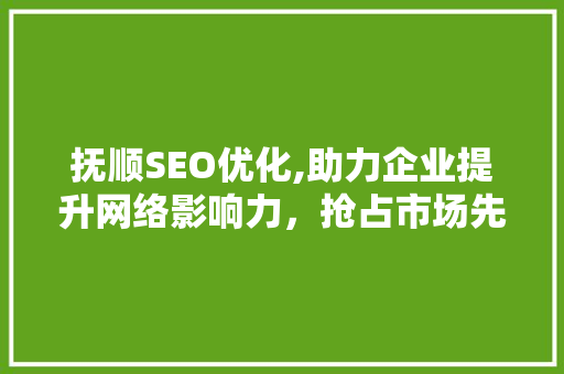抚顺SEO优化,助力企业提升网络影响力，抢占市场先机 网站优化