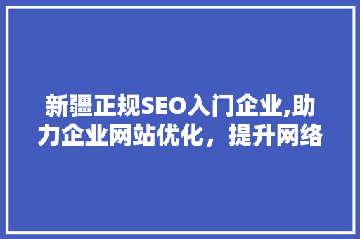 新疆正规SEO入门企业,助力企业网站优化，提升网络竞争力 英文谷歌算法