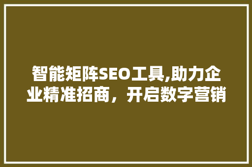 智能矩阵SEO工具,助力企业精准招商，开启数字营销新篇章